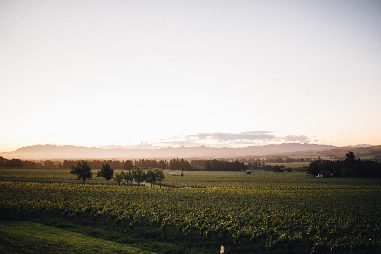 Black Estate B & B Waipara Exterior foto